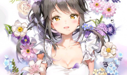 少女漫画系列,少女漫画系列魅力解析